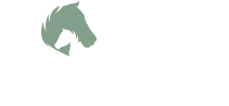 Broers Box | Horse Transport Somerset